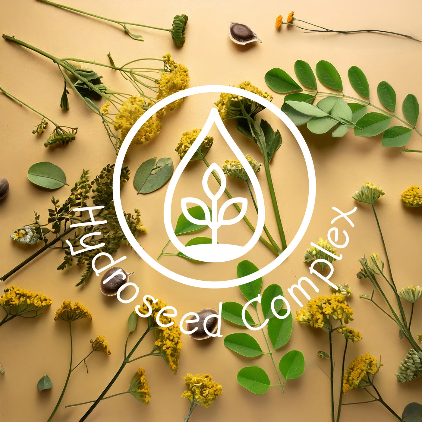 hydroseed-complex-logo-mit-pflanzen-und-samen-auf-beigem-hintergrund