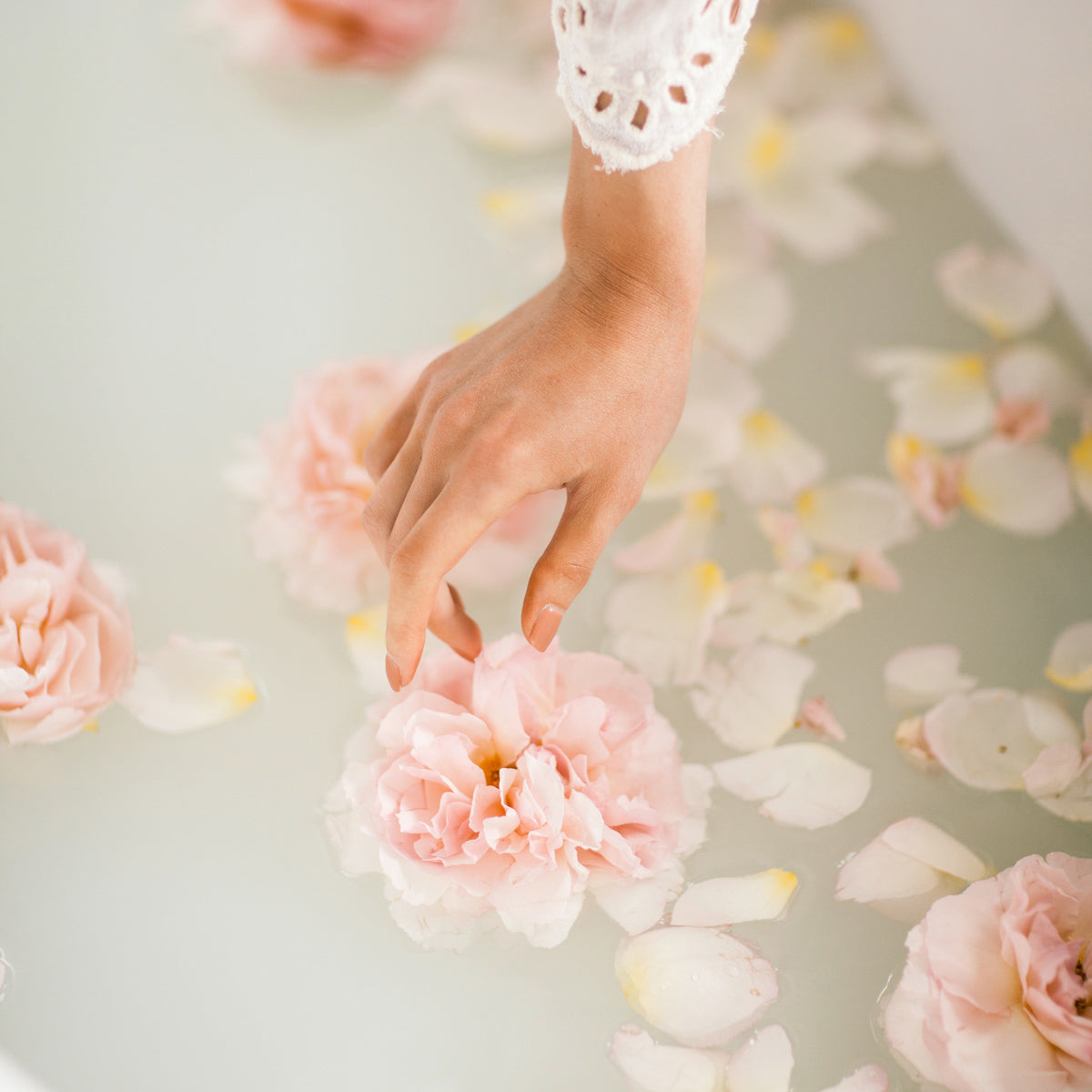 hand-berührt-rosa-blume-in-wasser-mit-blütenblättern